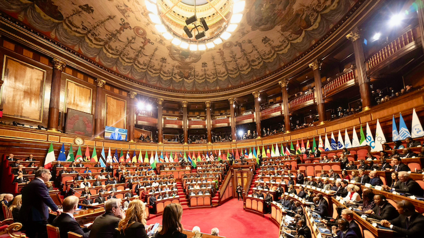 Senato, Conferenza Italia-Africa