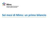 Sei mesi mims