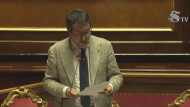 Ministro Salvini in diretta al Question Time nell'Aula del Senato della Repubblica